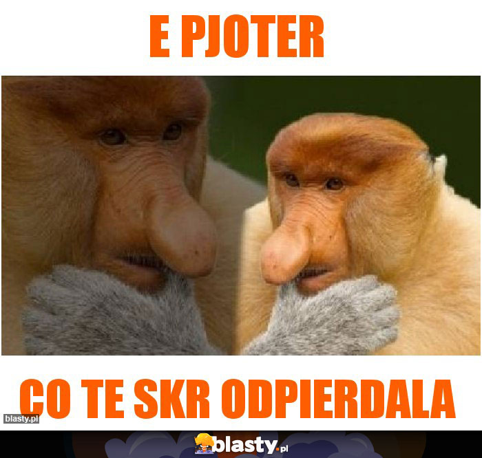 E PJOTER