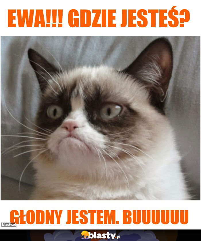 Ewa!!! Gdzie jesteś? Ewa!!! Gdzie jesteś?