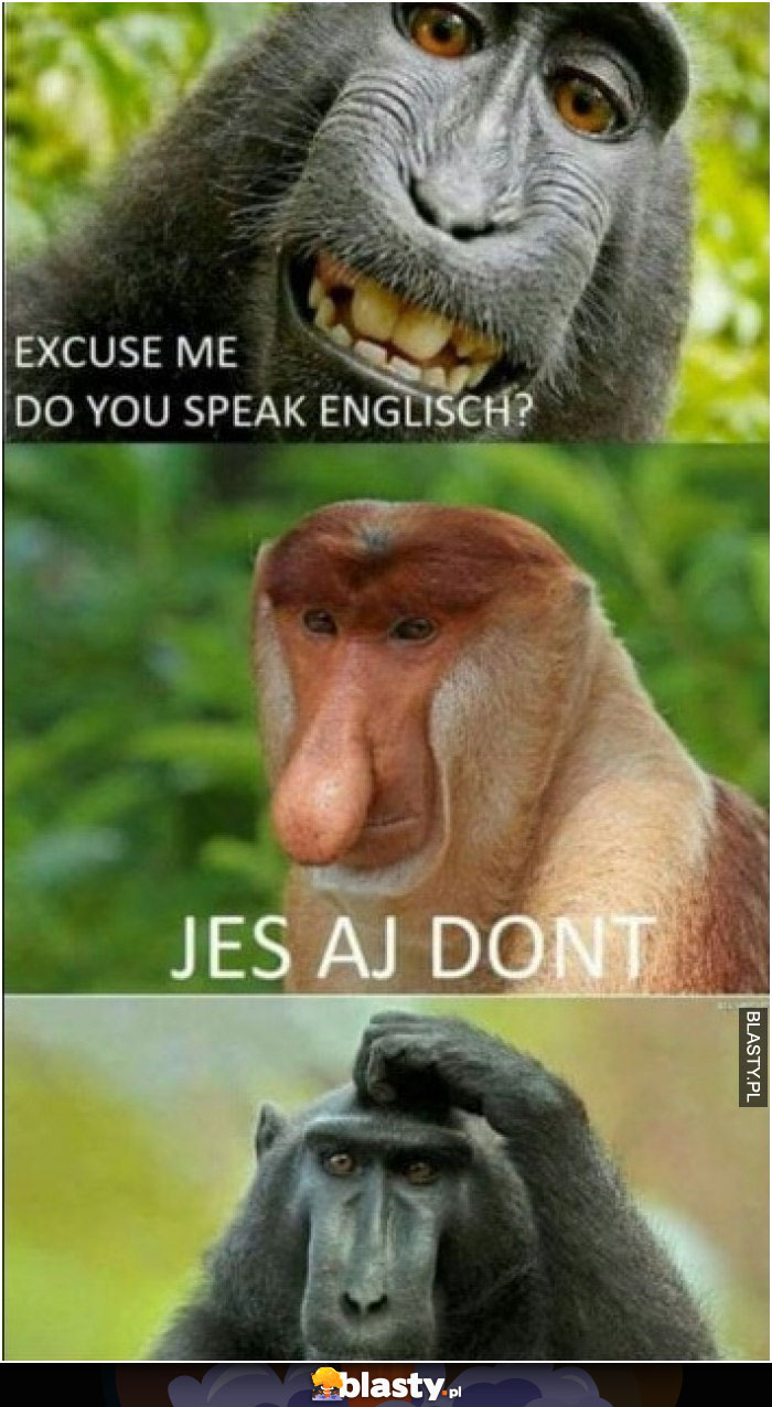 Excuse me do you speak englisch