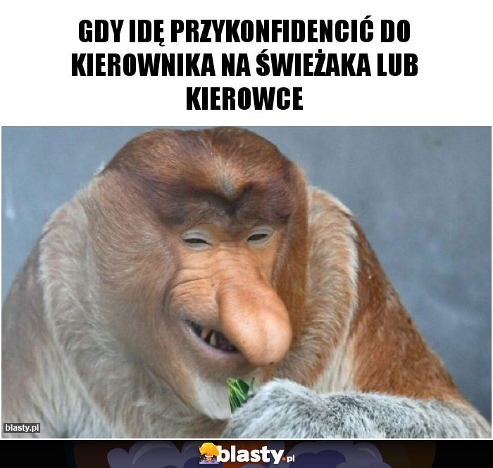 gdy idę przykonfidencić do kierownika na świeżaka lub kierowce gdy idę przykonfidencić do kierownika na świeżaka lub kierowce
