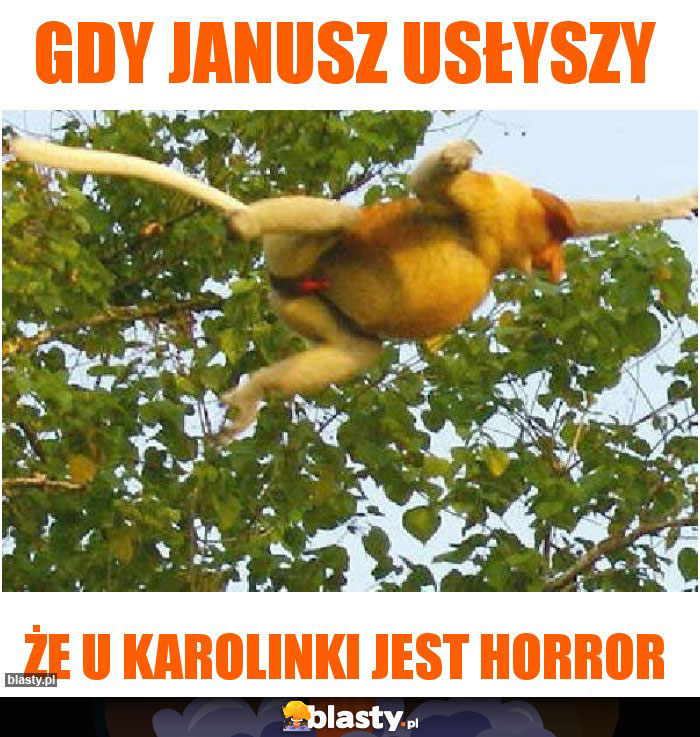 Gdy Janusz usłyszy Gdy Janusz usłyszy