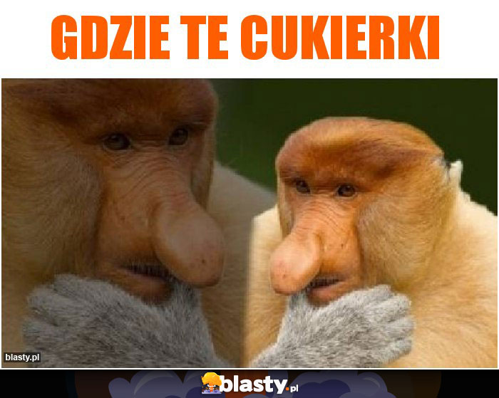 Gdzie te cukierki Gdzie te cukierki