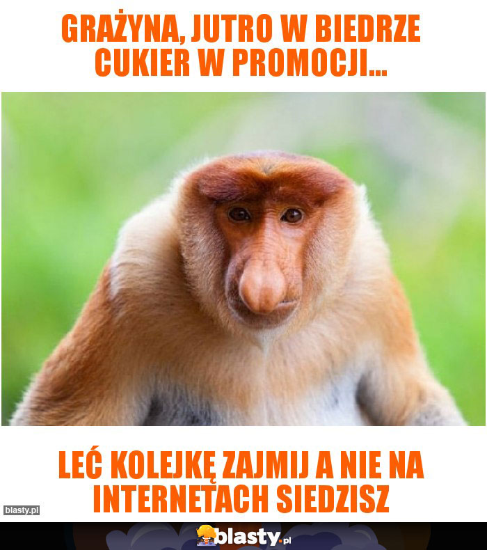 Grażyna, Jutro w biedrze cukier w promocji... Grażyna, Jutro w biedrze cukier w promocji...