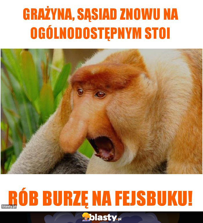 Grażyna, sąsiad znowu na ogólnodostępnym stoi Grażyna, sąsiad znowu na ogólnodostępnym stoi