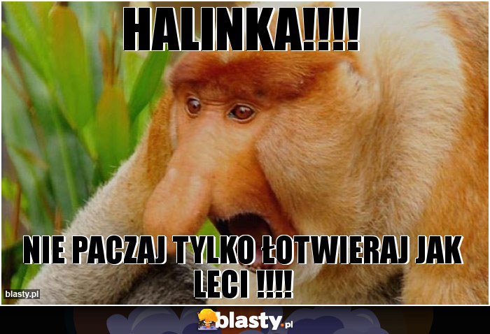 HALINKA!!!! HALINKA!!!!