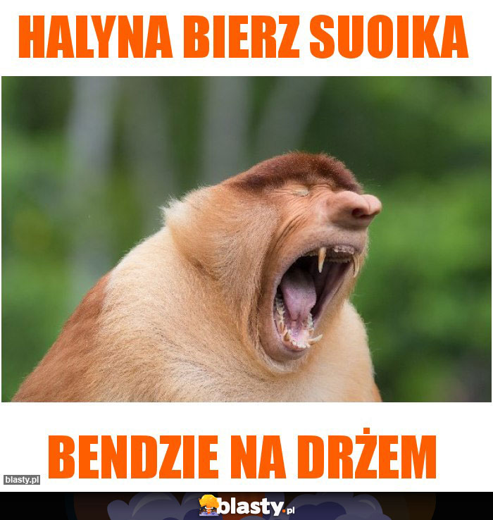 HALYNA BIERZ SUOIKA HALYNA BIERZ SUOIKA
