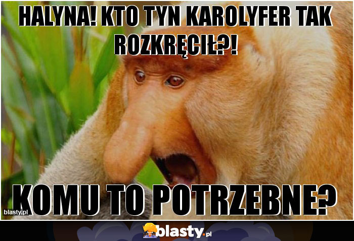 Halyna! Kto tyn karolyfer tak rozkręcił?! Halyna! Kto tyn karolyfer tak rozkręcił?!