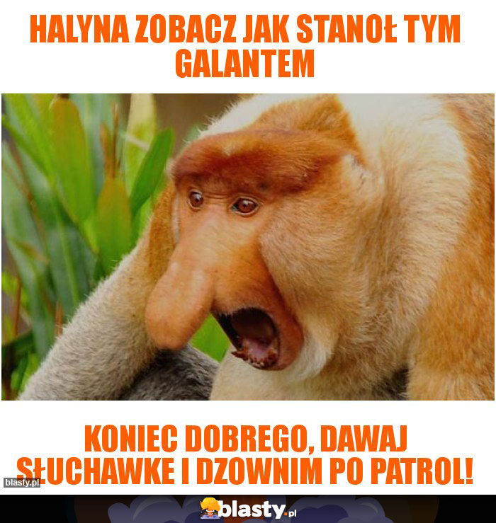 Halyna zobacz jak stanoł tym Galantem Halyna zobacz jak stanoł tym Galantem