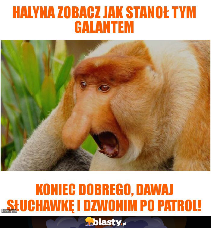 Halyna zobacz jak stanoł tym Galantem Halyna zobacz jak stanoł tym Galantem
