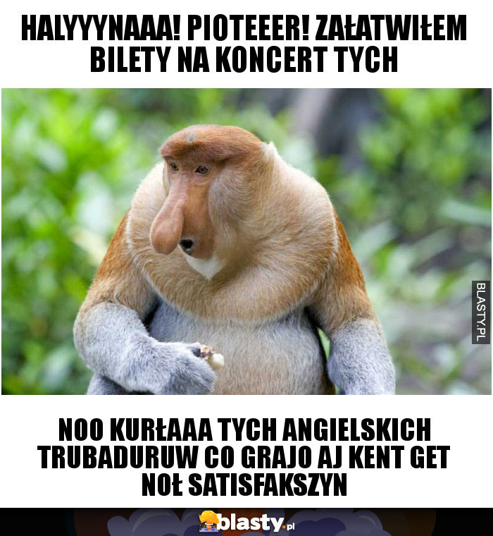 Halyyynaaa! Pioteeer! Załatwiłem bilety na koncert tych Halyyynaaa! Pioteeer! Załatwiłem bilety na koncert tych