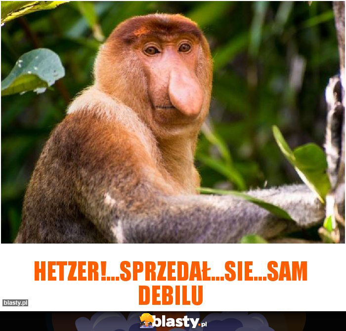 hetzer!...sprzedał...sie...sam debilu hetzer!...sprzedał...sie...sam debilu