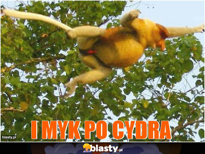I myk po cydra I myk po cydra
