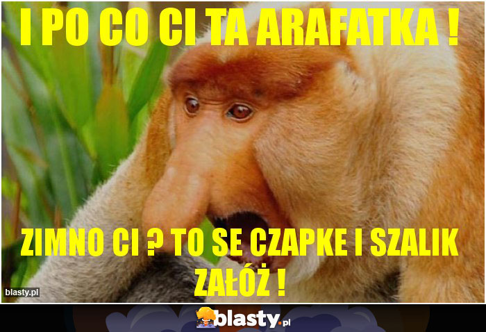 I po co Ci ta arafatka ! I po co Ci ta arafatka !