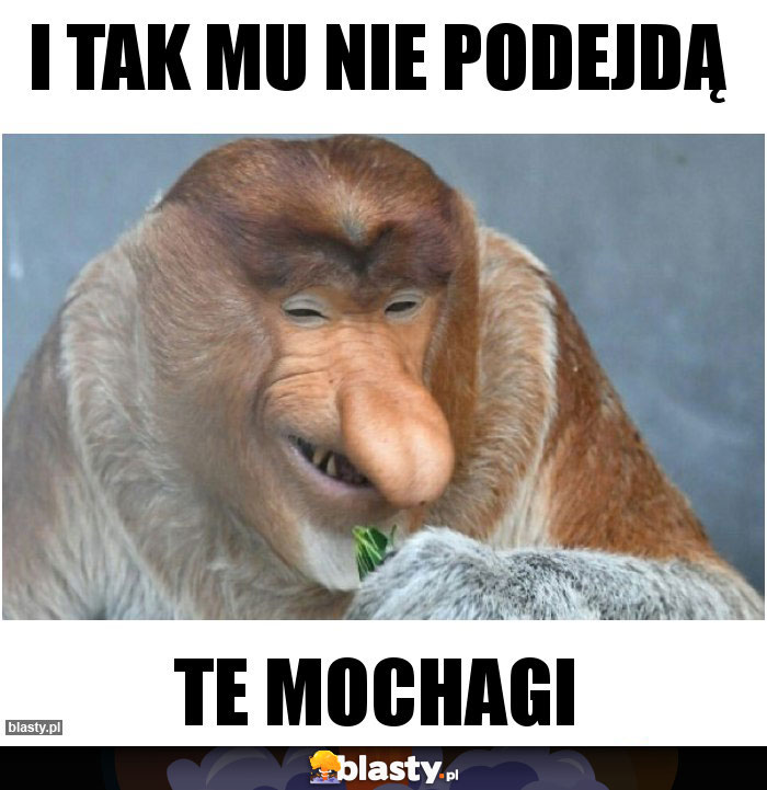 I tak mu nie podejdą I tak mu nie podejdą