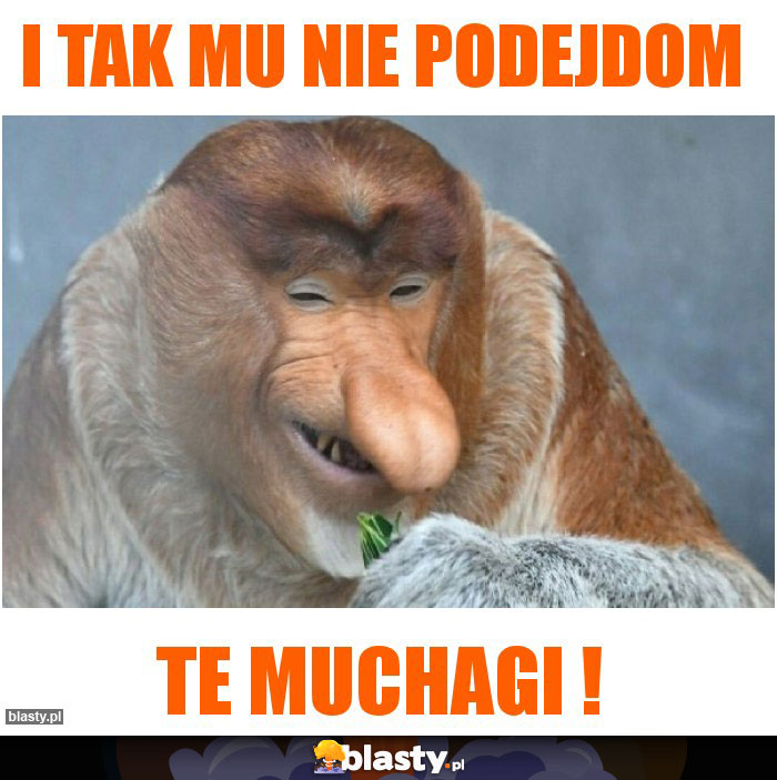 I tak mu nie podejdom I tak mu nie podejdom