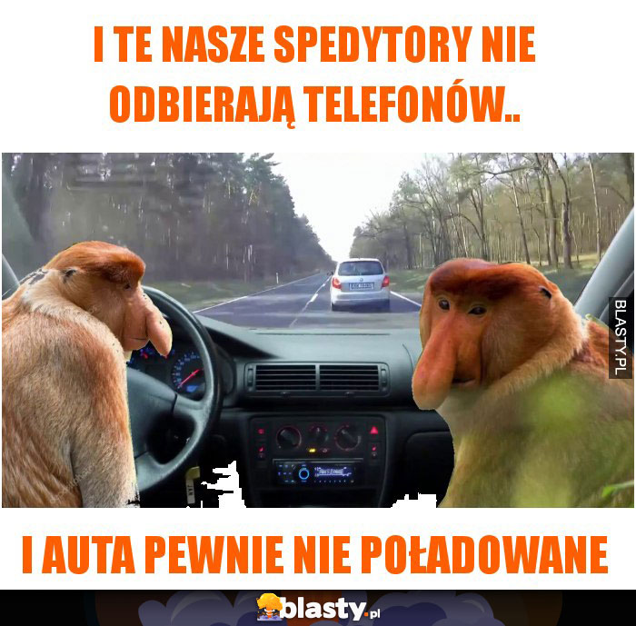 I te nasze spedytory nie odbierają telefonów.. I te nasze spedytory nie odbierają telefonów..