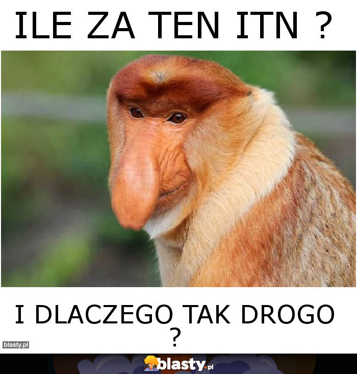 ILE ZA TEN ITN ? ILE ZA TEN ITN ?
