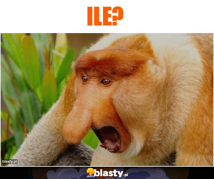 Ile?