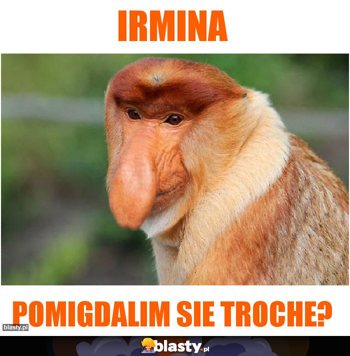 IRMINA