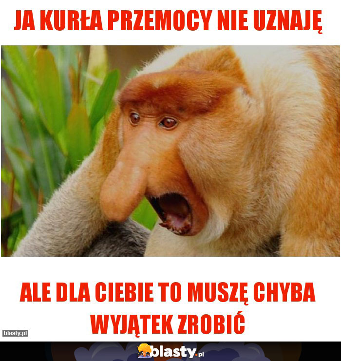 JA KURŁA PRZEMOCY NIE UZNAJĘ JA KURŁA PRZEMOCY NIE UZNAJĘ