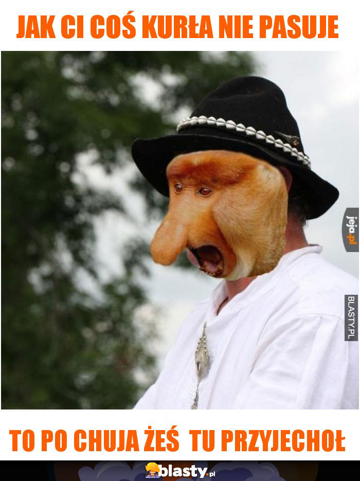 Jak ci coś kurła nie pasuje Jak ci coś kurła nie pasuje