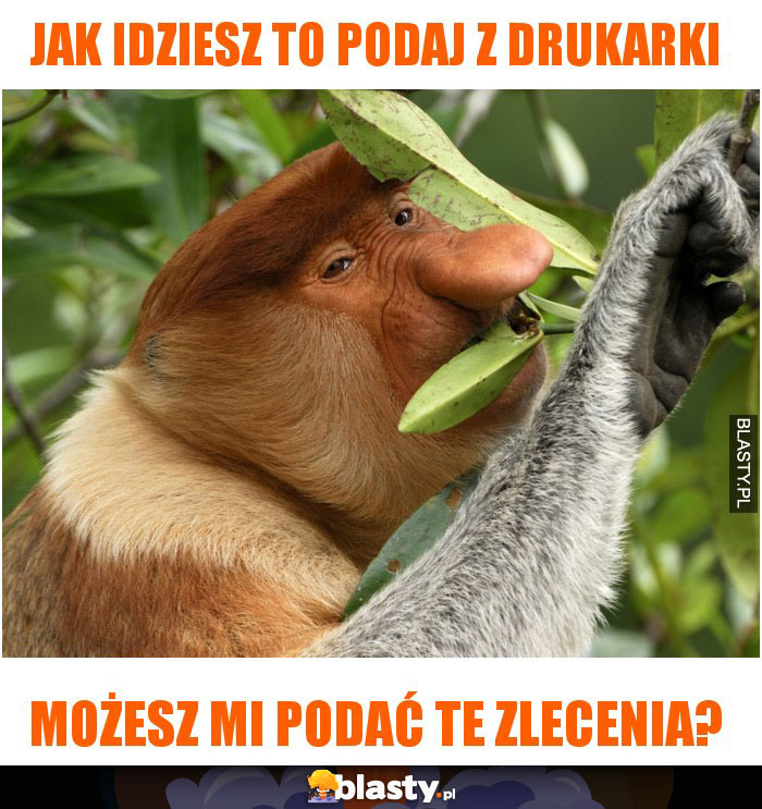 jak idziesz to podaj z drukarki jak idziesz to podaj z drukarki