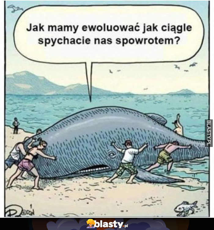 Jak mamy ewaluować