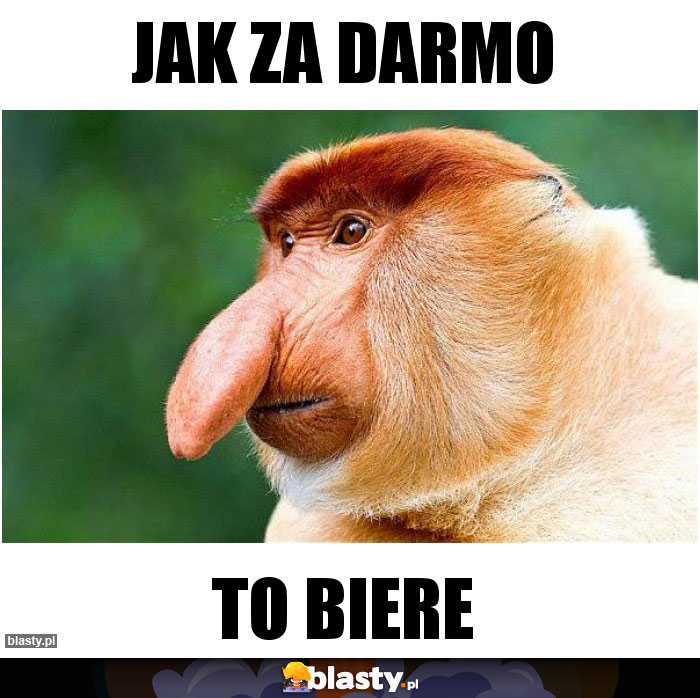 Jak za darmo Jak za darmo