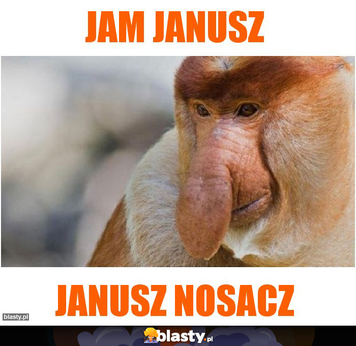 Jam Janusz Jam Janusz