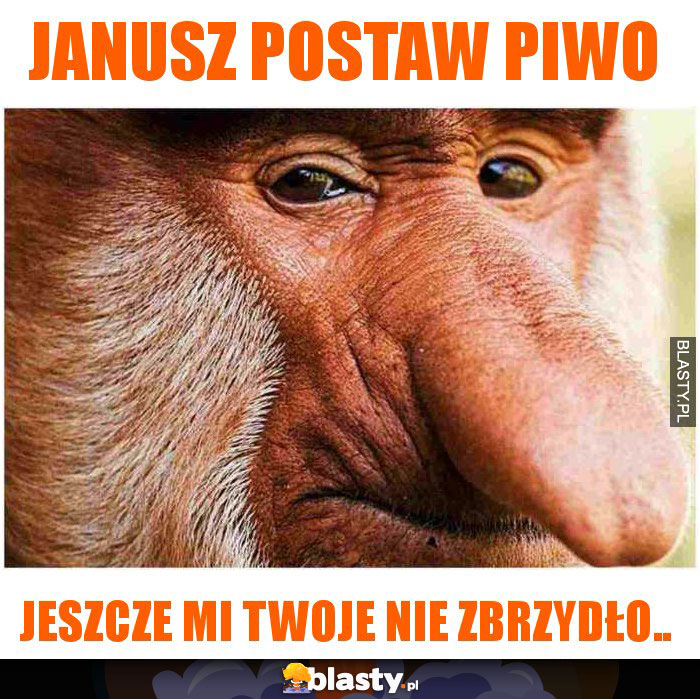 janusz postaw piwo janusz postaw piwo