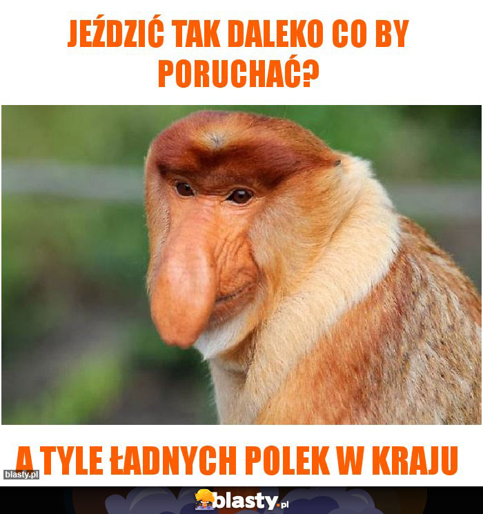 Jeździć tak daleko Co by poruchać? Jeździć tak daleko Co by poruchać?