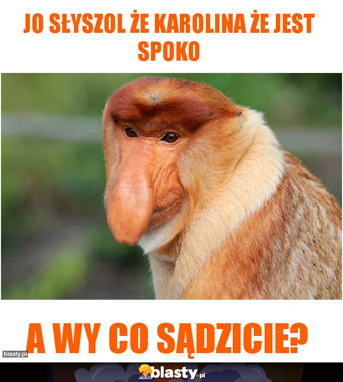 Jo słyszol że karolina że jest spoko Jo słyszol że karolina że jest spoko