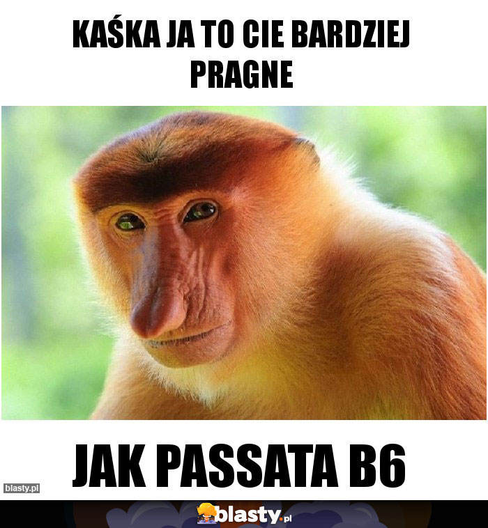 Kaśka ja to Cie bardziej pragne Kaśka ja to Cie bardziej pragne