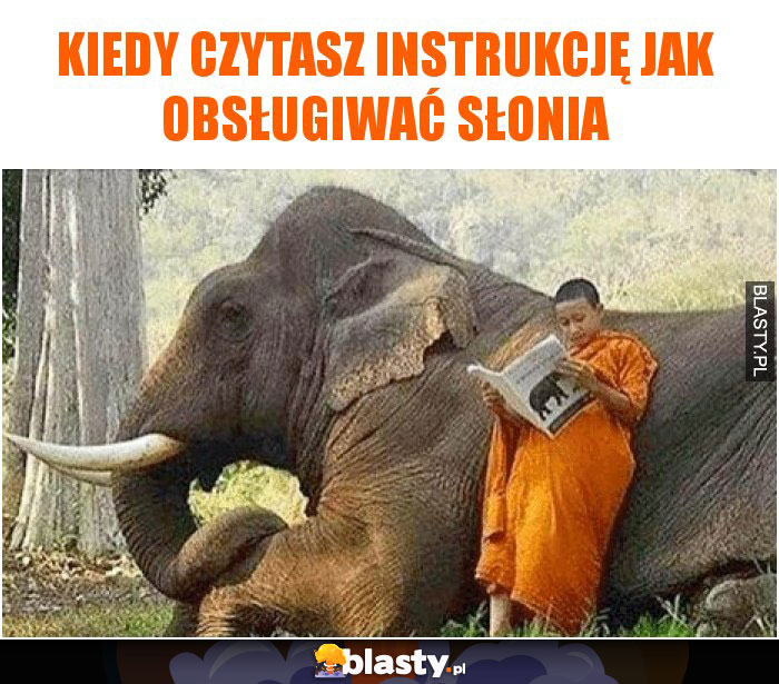 Kiedy czytasz instrukcję jak obsługiwać słonia