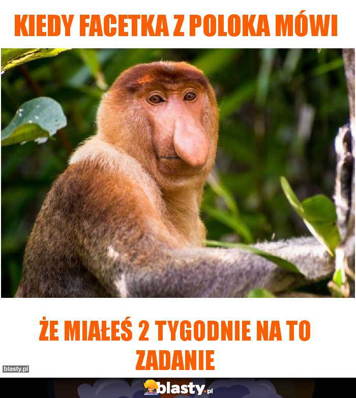 Kiedy facetka z poloka mówi Kiedy facetka z poloka mówi