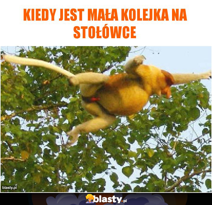 Kiedy jest mała kolejka na stołówce Kiedy jest mała kolejka na stołówce