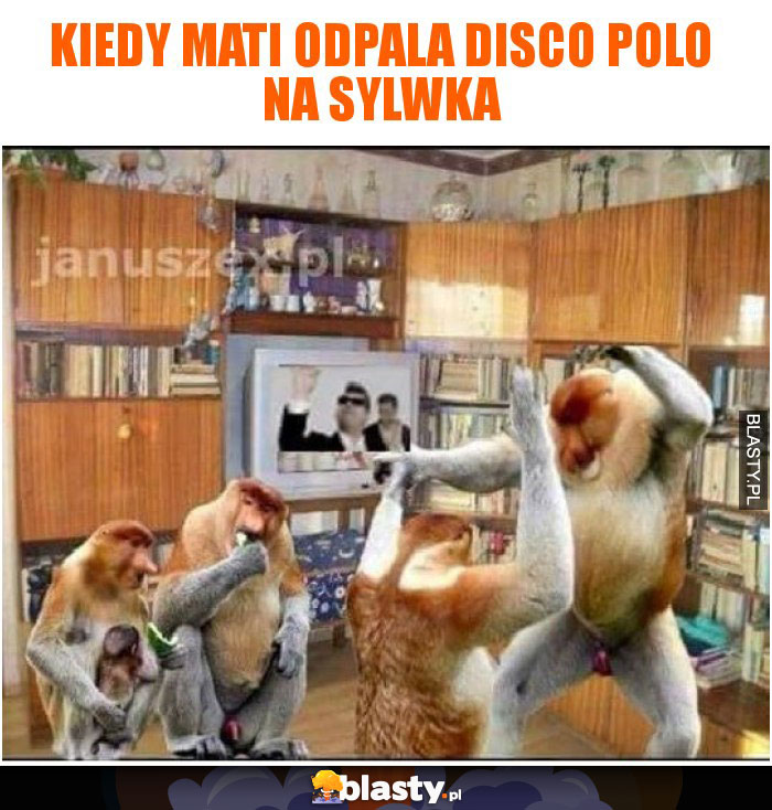 kiedy Mati odpala disco polo na sylwka kiedy Mati odpala disco polo na sylwka