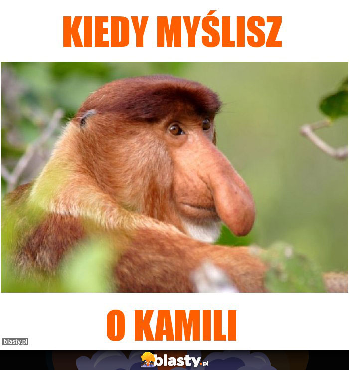 Kiedy myślisz Kiedy myślisz