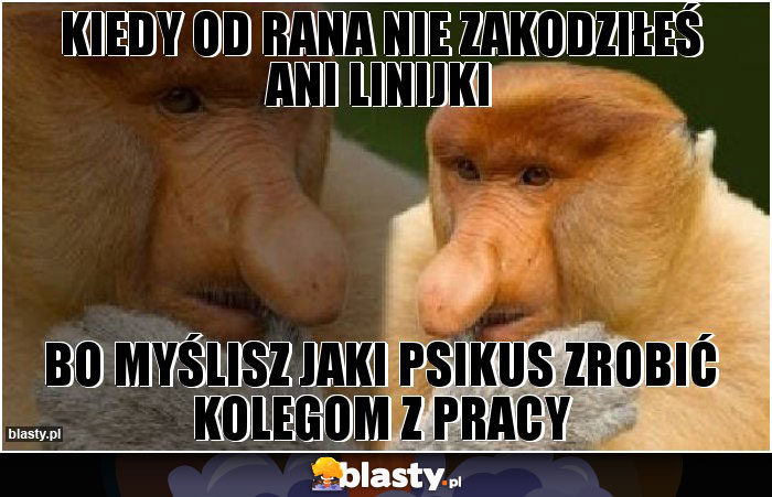 kiedy od rana nie zakodziłeś ani linijki kiedy od rana nie zakodziłeś ani linijki