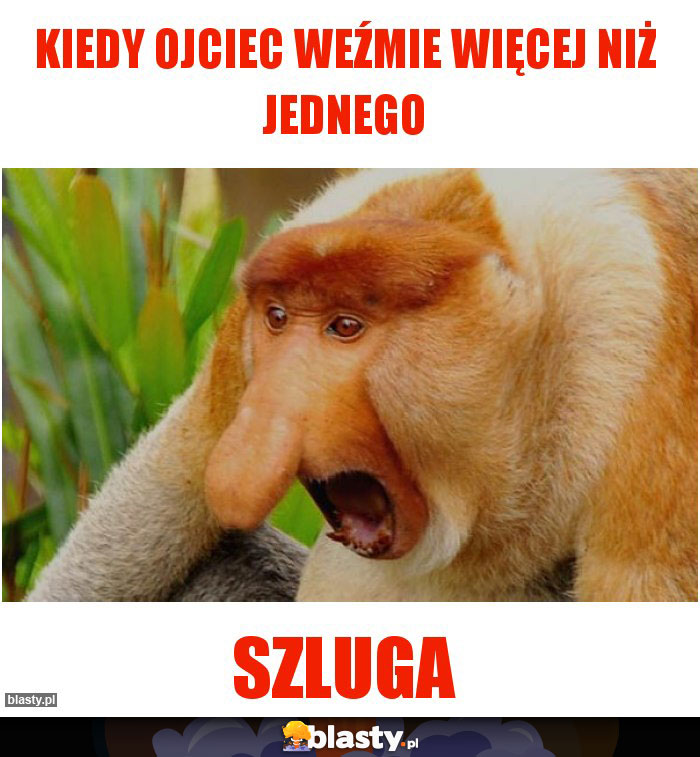 Kiedy ojciec weźmie więcej niż jednego Kiedy ojciec weźmie więcej niż jednego