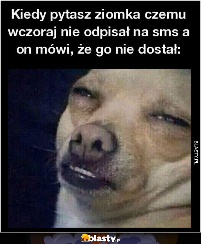 Kiedy pytasz ziomka