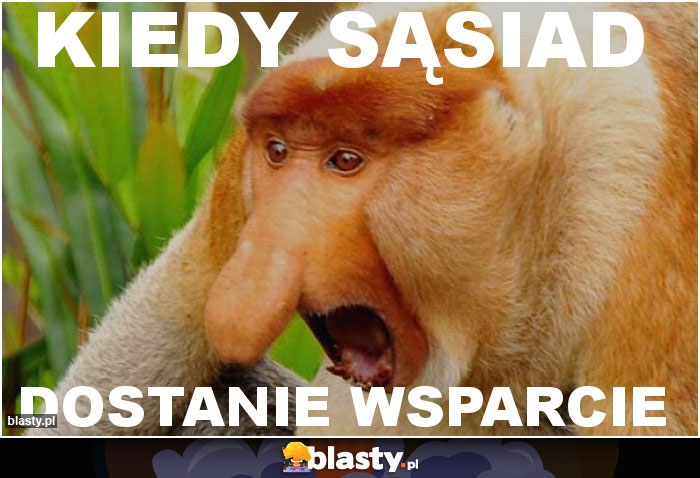 KIEDY SĄSIAD KIEDY SĄSIAD