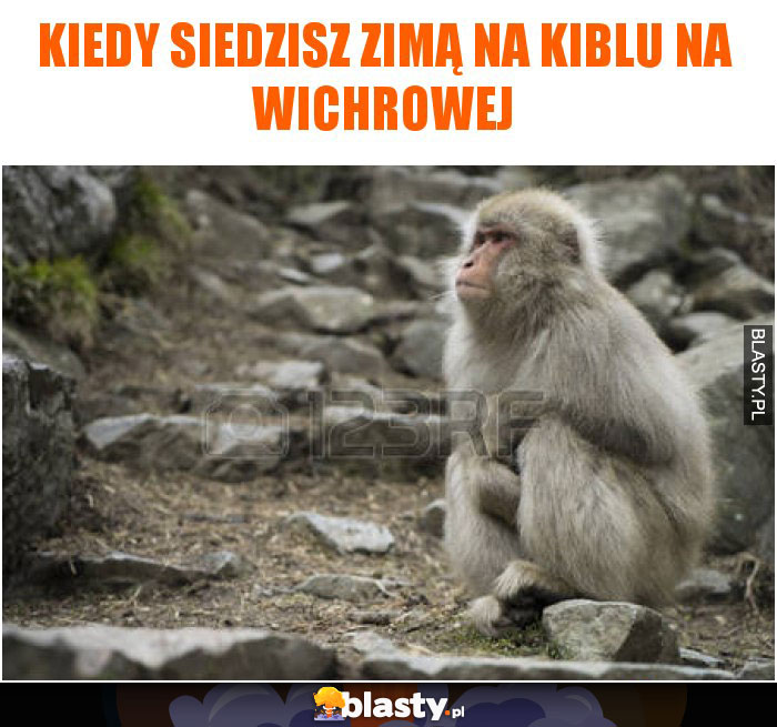 kiedy siedzisz zimą na kiblu na wichrowej kiedy siedzisz zimą na kiblu na wichrowej