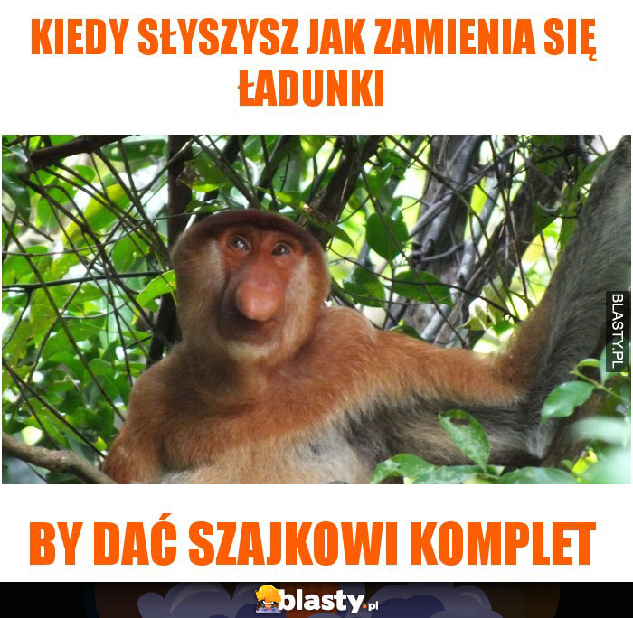 kiedy słyszysz jak zamienia się ładunki kiedy słyszysz jak zamienia się ładunki