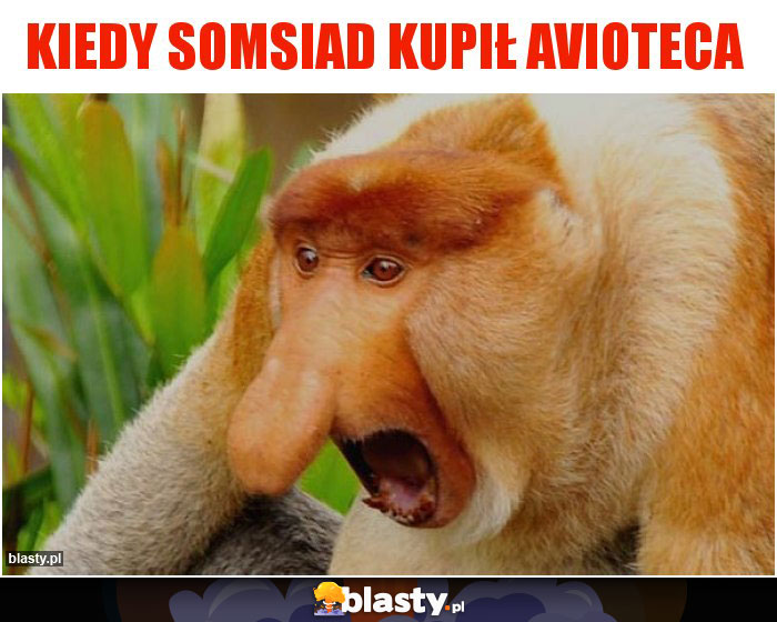 KIEDY SOMSIAD KUPIŁ AVIOTECA KIEDY SOMSIAD KUPIŁ AVIOTECA