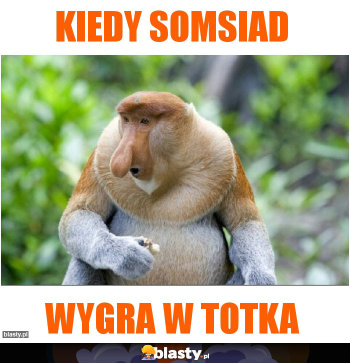 Kiedy somsiad Kiedy somsiad