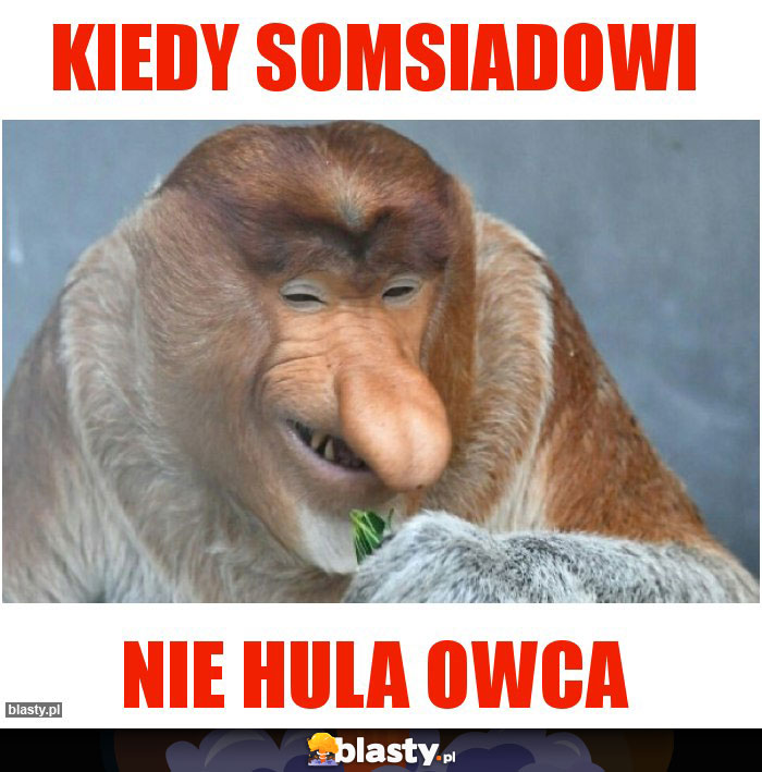 Kiedy somsiadowi Kiedy somsiadowi