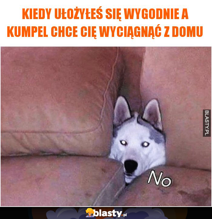 Kiedy ułożyłeś się wygodnie a kumpel chce Cię wyciągnąć z domu