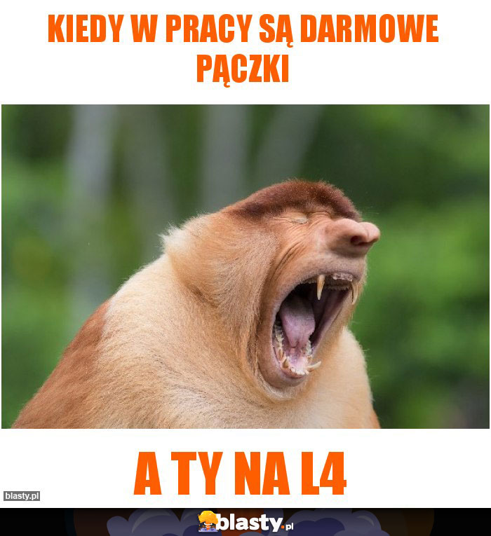 Kiedy w pracy są darmowe pączki Kiedy w pracy są darmowe pączki