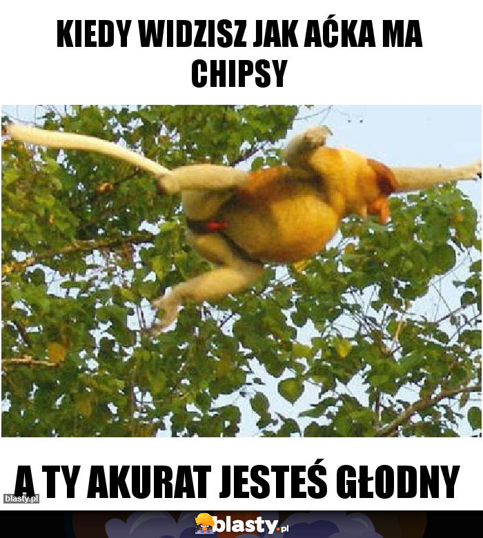 Kiedy widzisz jak Aćka ma chipsy Kiedy widzisz jak Aćka ma chipsy